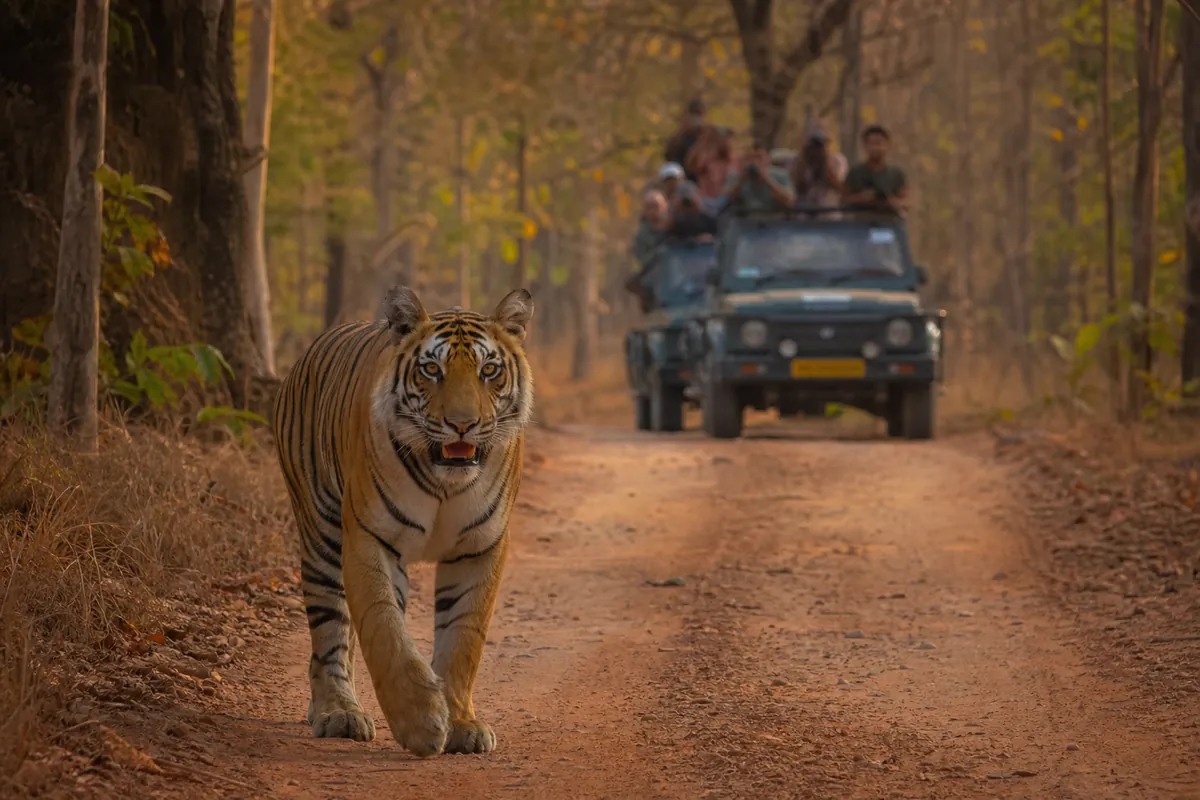 Madhya Pradesh tour packages